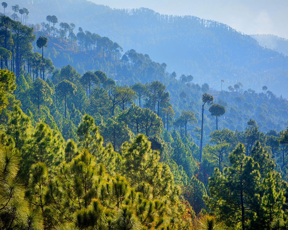 Top 10 Places You Must Visit in Murree 10 Places To Visit in Murree: Ayubia