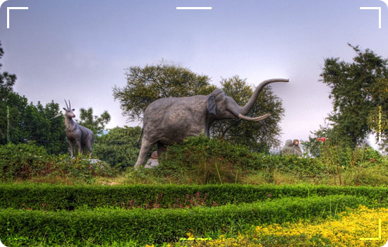 Islamabad Zoo: Islamabad City Tour Islamabad Zoo: Islamabad City Tour