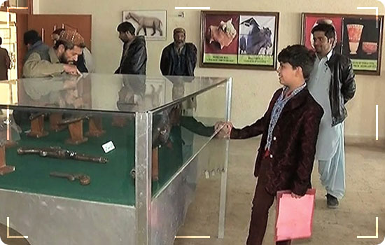 Top 10 Place To Visit In Quetta, Pakistan 5 Places To Visit In Quetta Pakistan: Quetta Museum