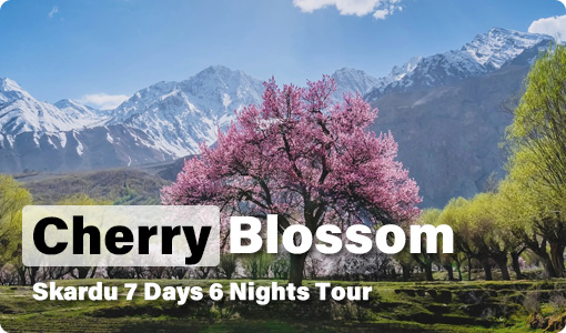 Skardu Tour Packages 2025 7 Skardu-Cherry-Blossom-7-Days-Tour