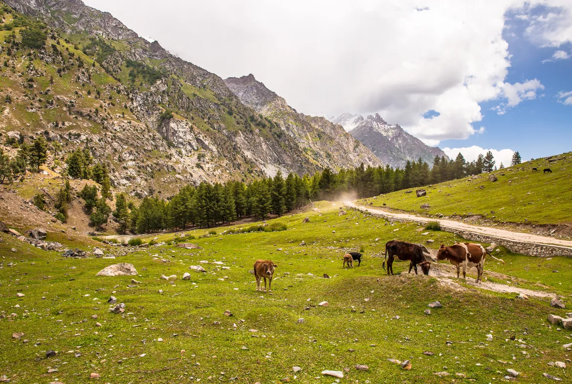 My Unforgettable Journey to Gilgit and Skardu 2 My Unforgettable Journey to Gilgit and Skardu: Exploring the Gems of Northern Pakistan - Pakistan Tour and travel