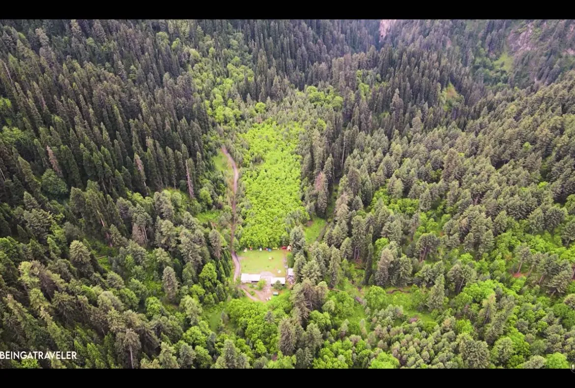 Sharan Forest: Unexplored Valley With Magnificent Views 8 Sharan Forest: A Beautiful Place in Kaghan Valley - Pakistan Tour n travel