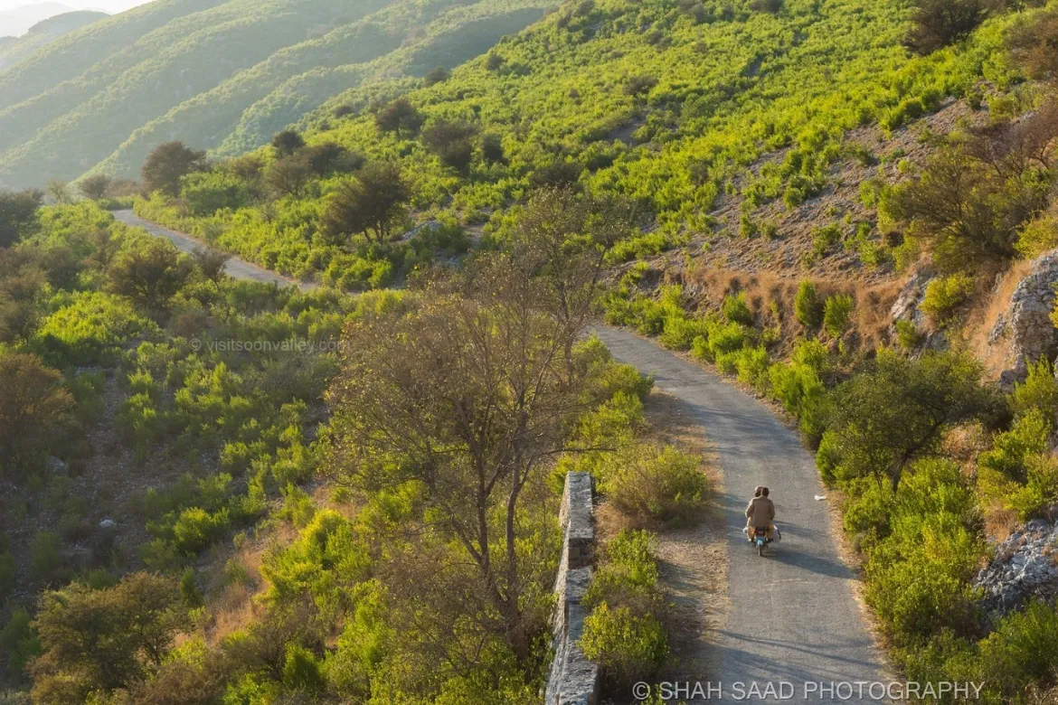 Top 10 Forests In Pakistan – Location, Area Covered, Types 11 Top 10 forests in Pakistan - soon Valley Forest