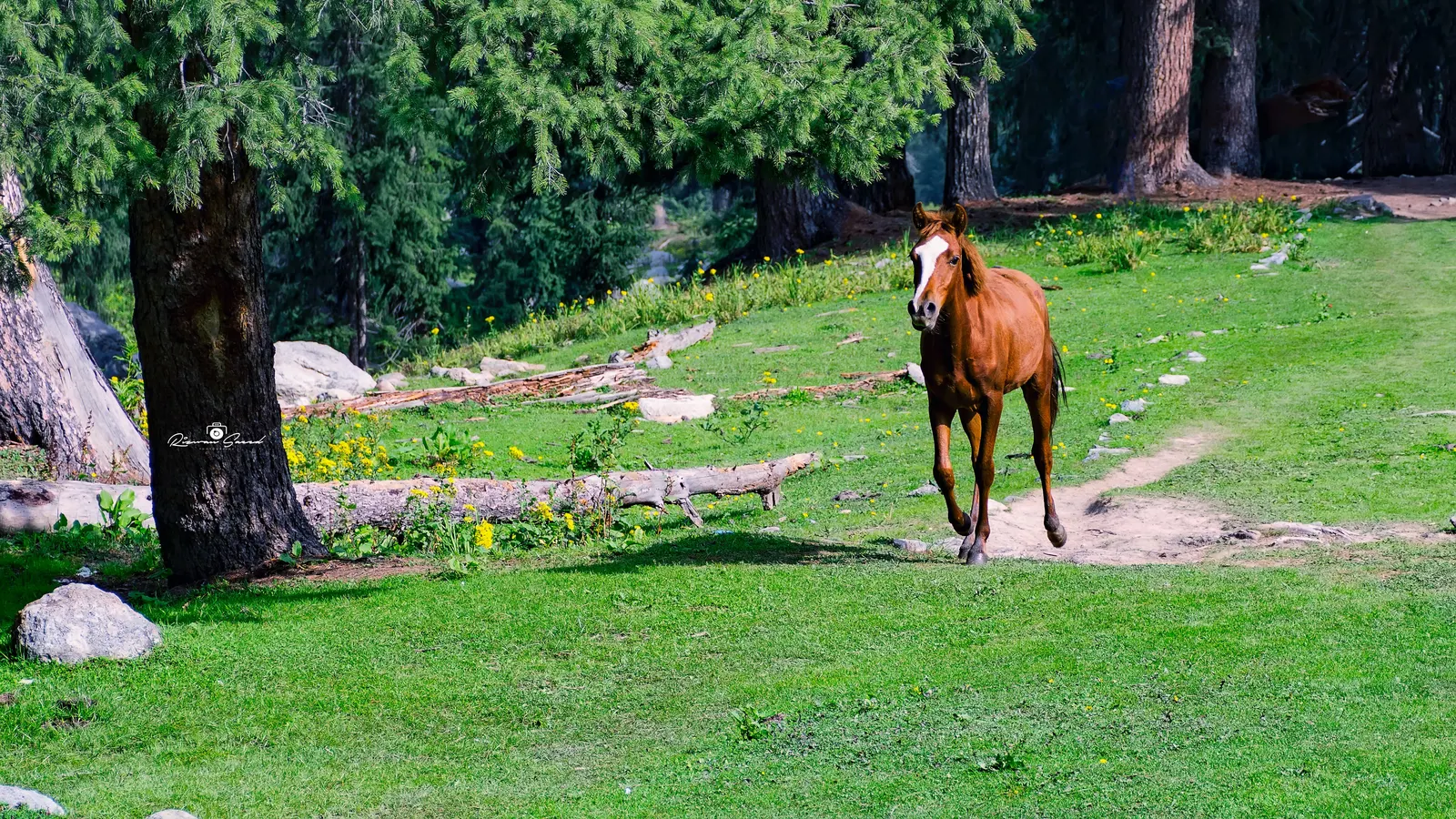 Summer in Pakistan; Book Your Summer Tour Package Today 3 Escape the heat with Pakistan Summer tour packages at affordable rates