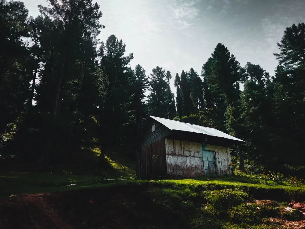Best Places for Family in Swat Valley 5 Visit These Incredible Swat Places With Family; Malam Jabba